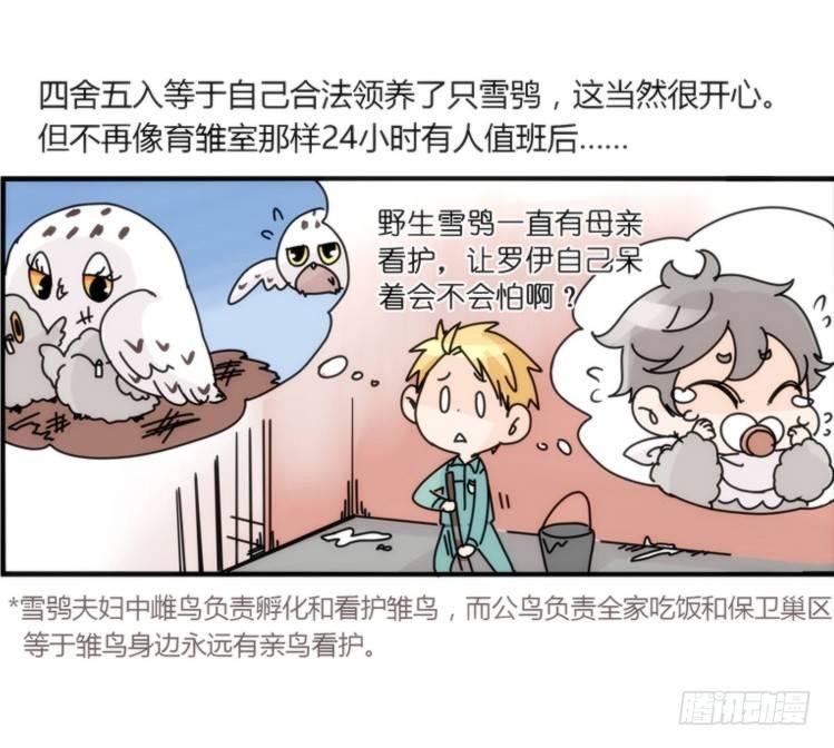 飞吧小少爷：约定了！-第4话