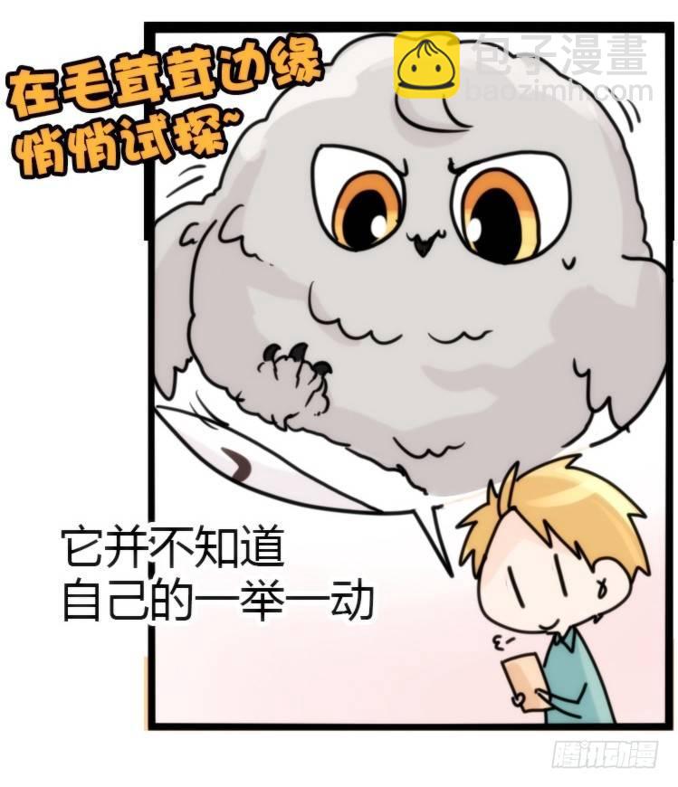 飞吧小少爷：约定了！-第4话