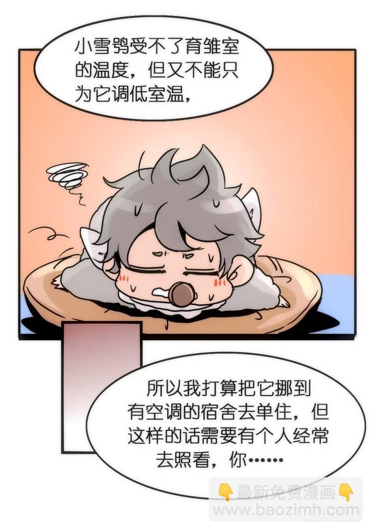 飞吧小少爷：约定了！-第4话