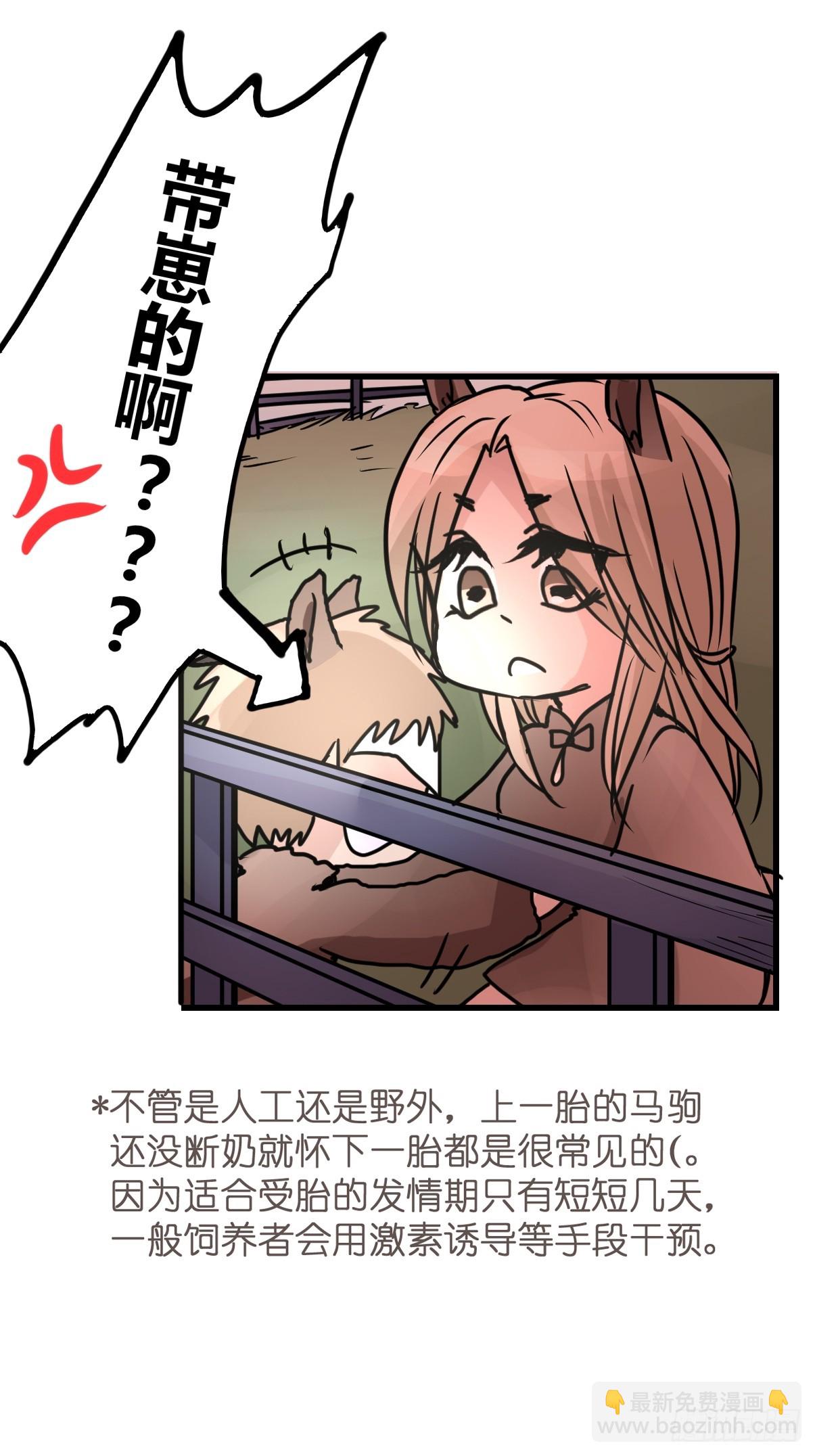 十日谈12：速度与激情&middot;4(1/2)-第304话