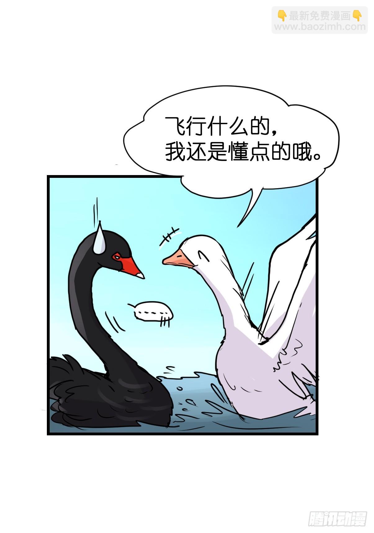 十日谈14：黑白罗曼史&middot;1(1/2)-第306话