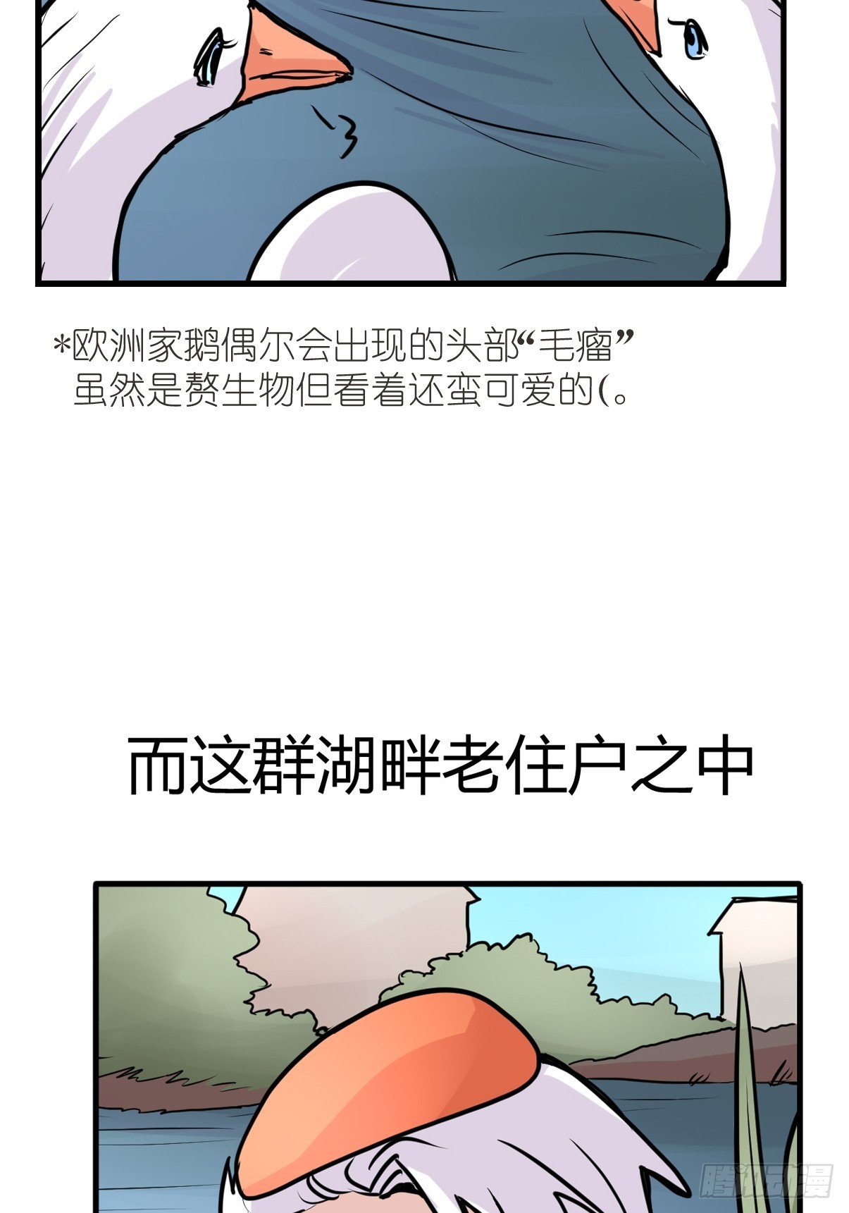 十日谈14：黑白罗曼史&middot;1(1/2)-第306话