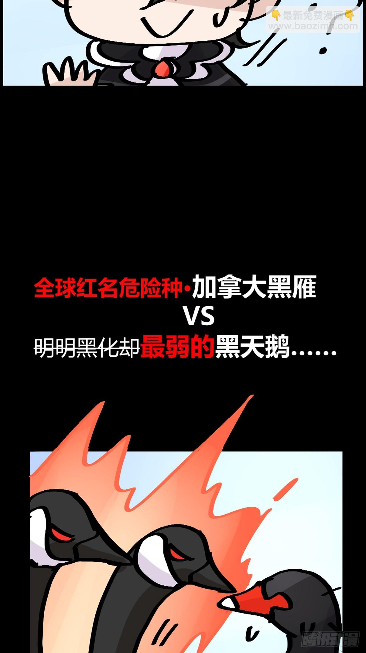 十日谈14：黑白罗曼史&middot;1(1/2)-第306话