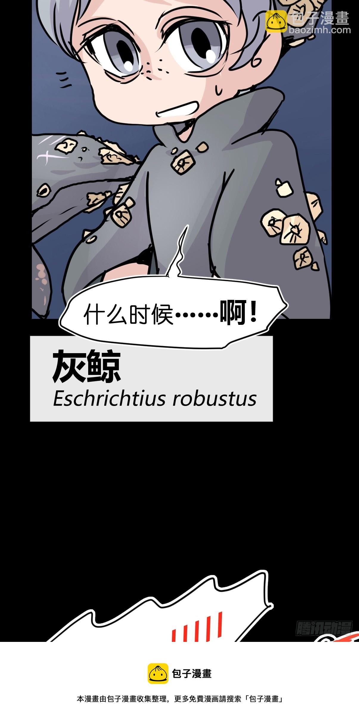 十日谈18：黑白罗曼史&middot;5(1/2)-第310话