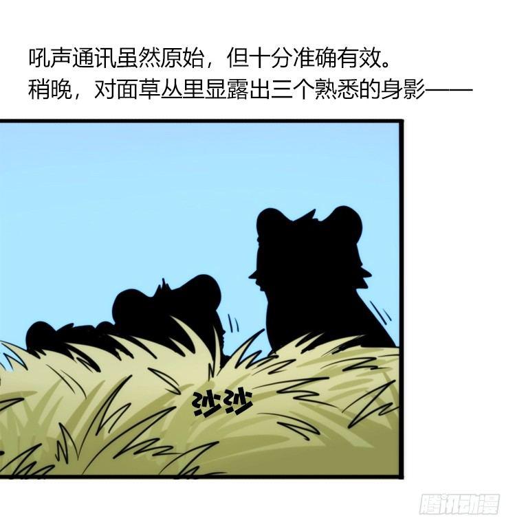 是这样的狮JI王？！-07-第32话