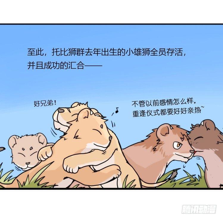 是这样的狮JI王？！-07-第32话