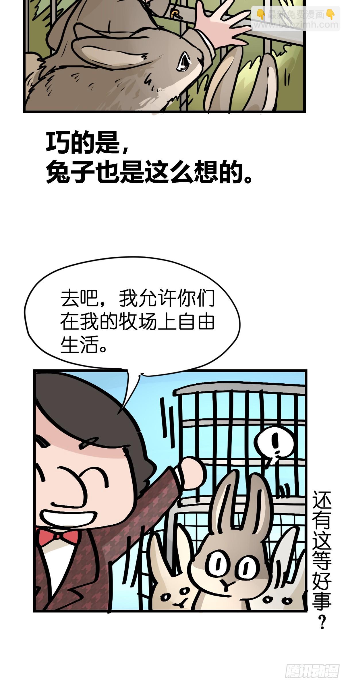 十日谈24：兔年说兔&middot;1(1/2)-第316话