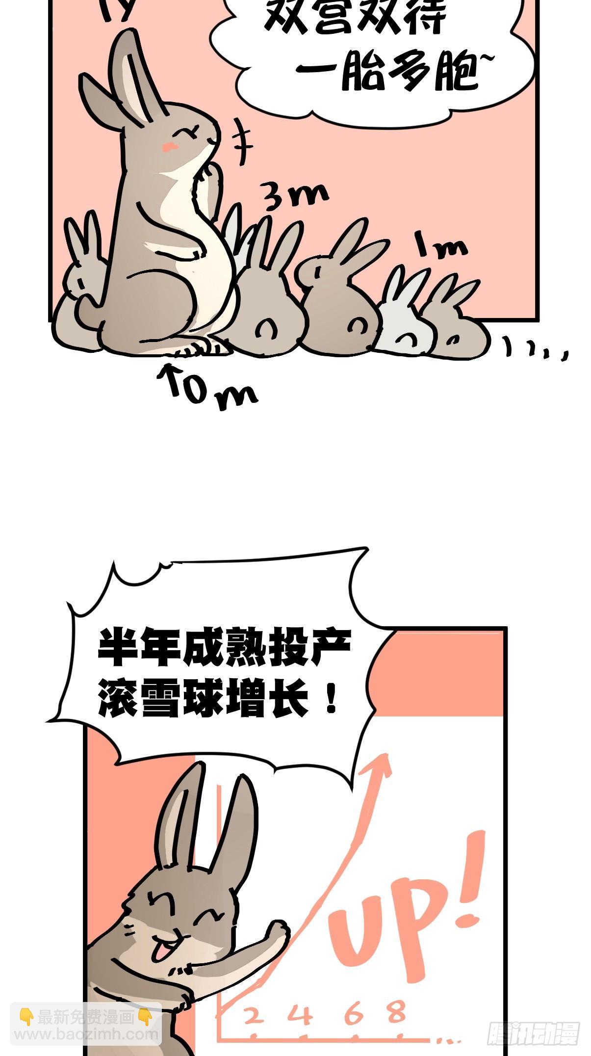 十日谈24：兔年说兔&middot;1(1/2)-第316话