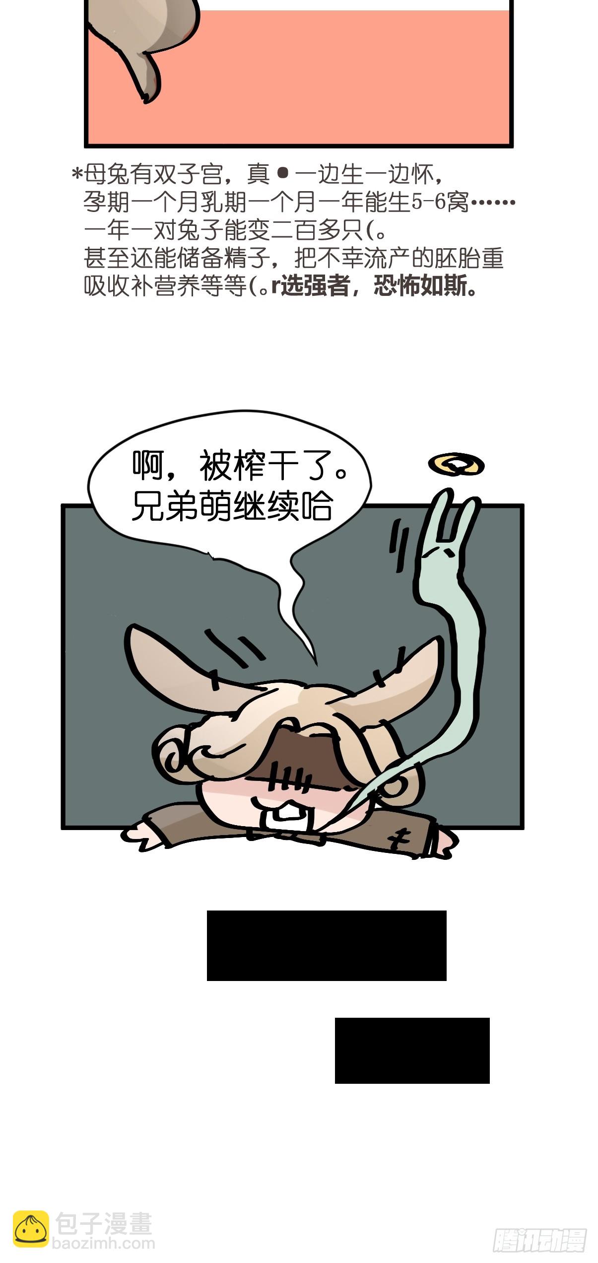 十日谈24：兔年说兔&middot;1(1/2)-第316话