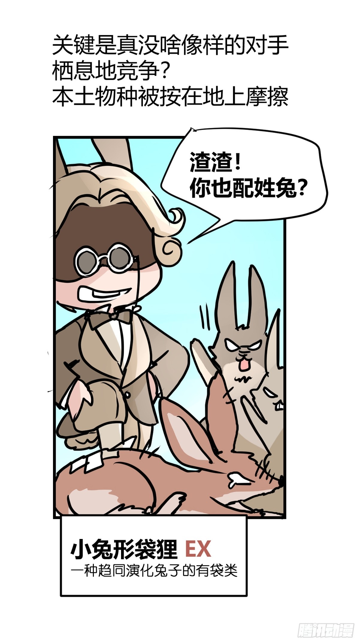 十日谈24：兔年说兔&middot;1(1/2)-第316话