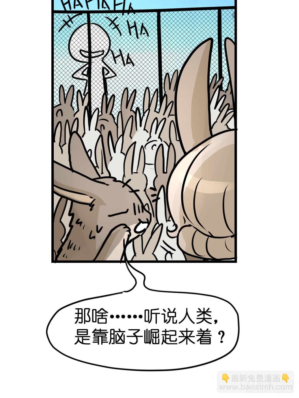 十日谈24：兔年说兔&middot;1(1/2)-第316话