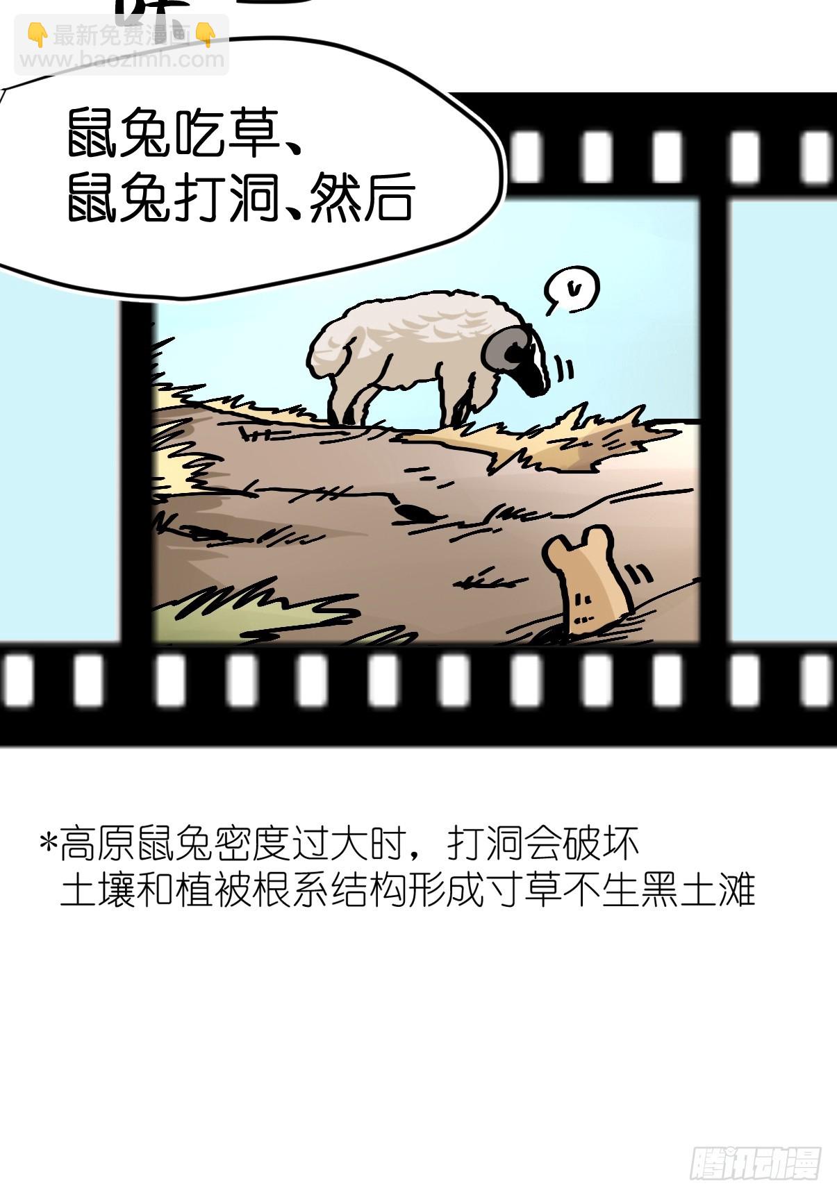 十日谈26：兔年说兔&middot;3(1/2)-第318话