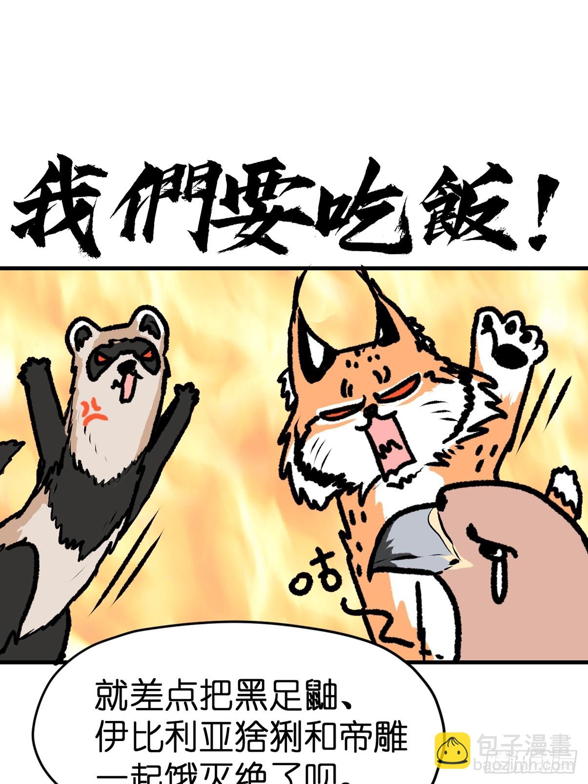 十日谈26：兔年说兔&middot;3(1/2)-第318话