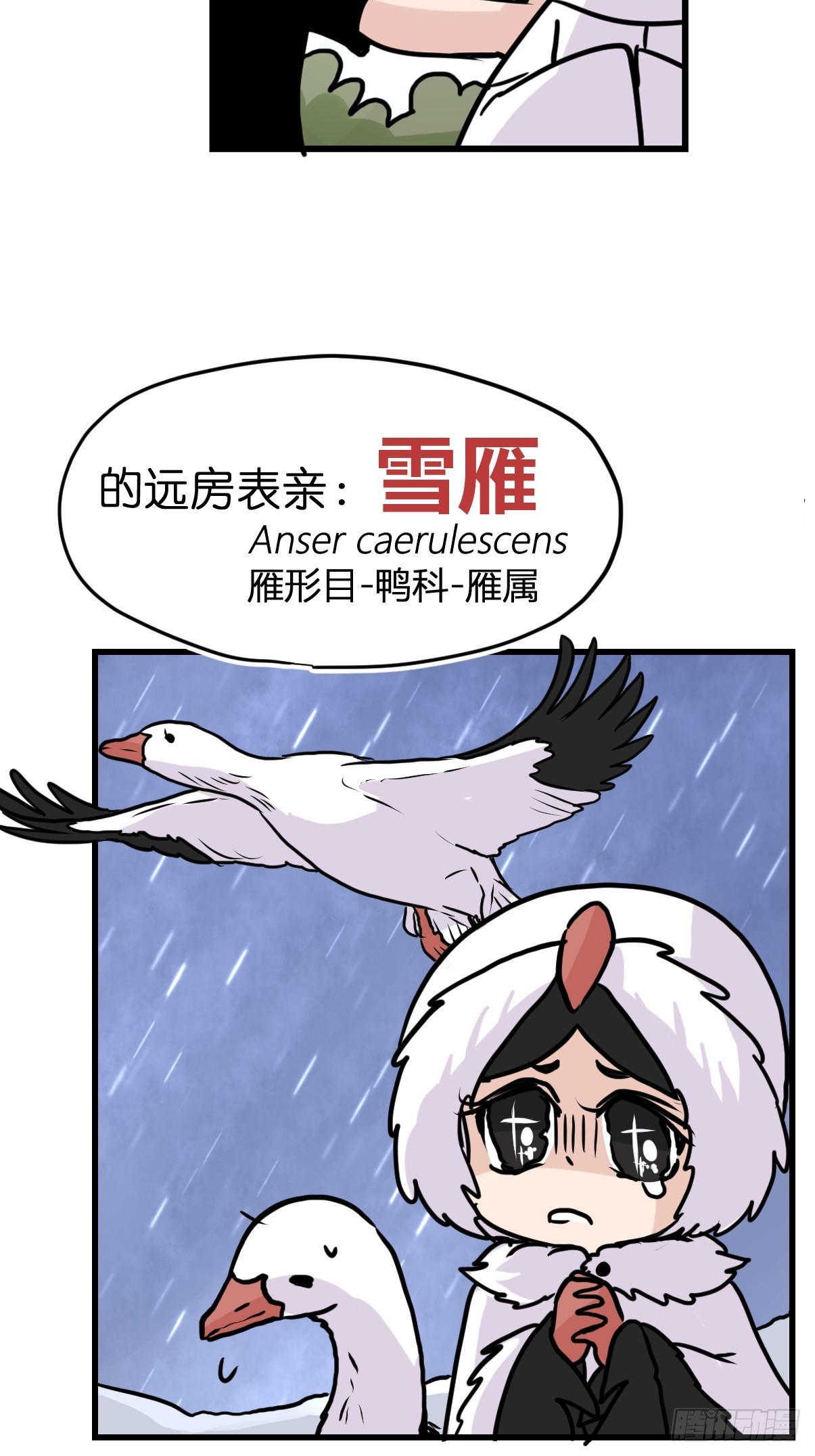十日谈26：兔年说兔&middot;3(1/2)-第318话