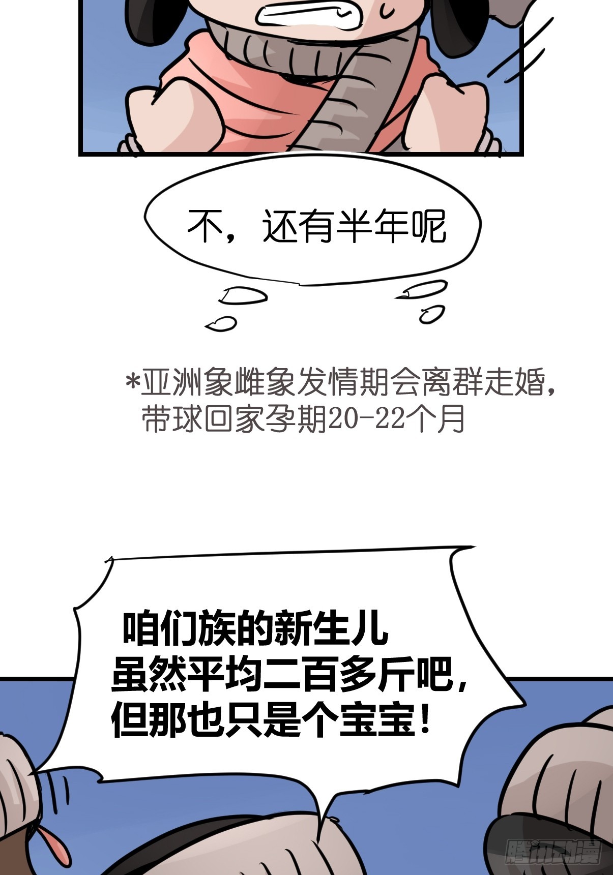 十日谈28：象往何方②(1/2)-第320话
