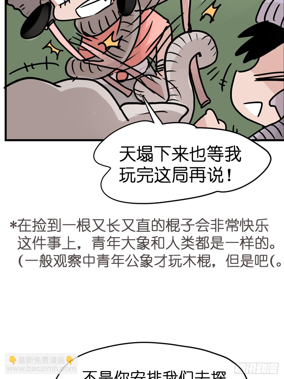 十日谈28：象往何方②(1/2)-第320话