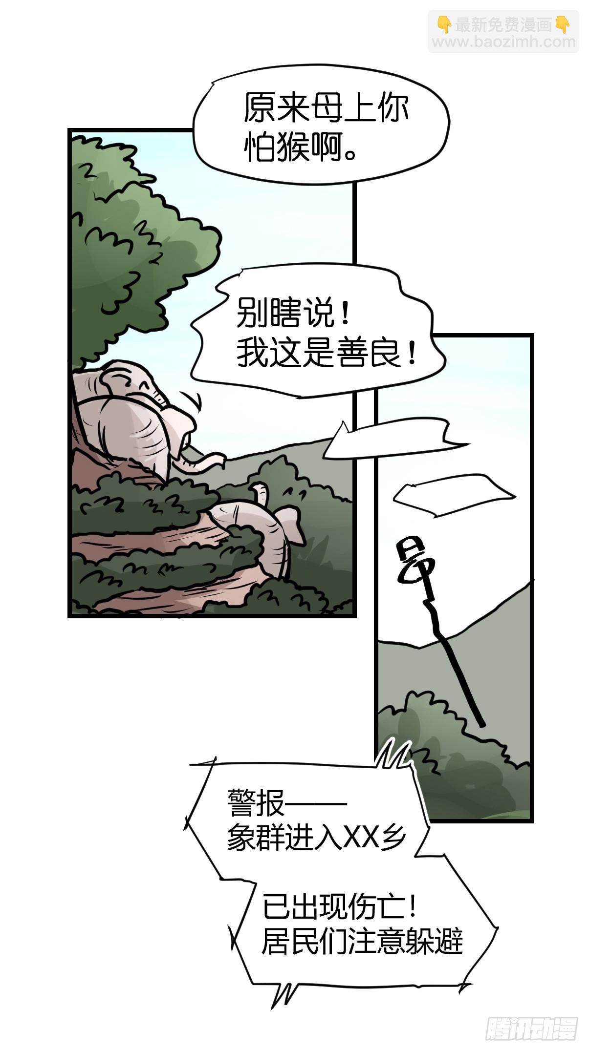 十日谈30：象往何方④-第322话