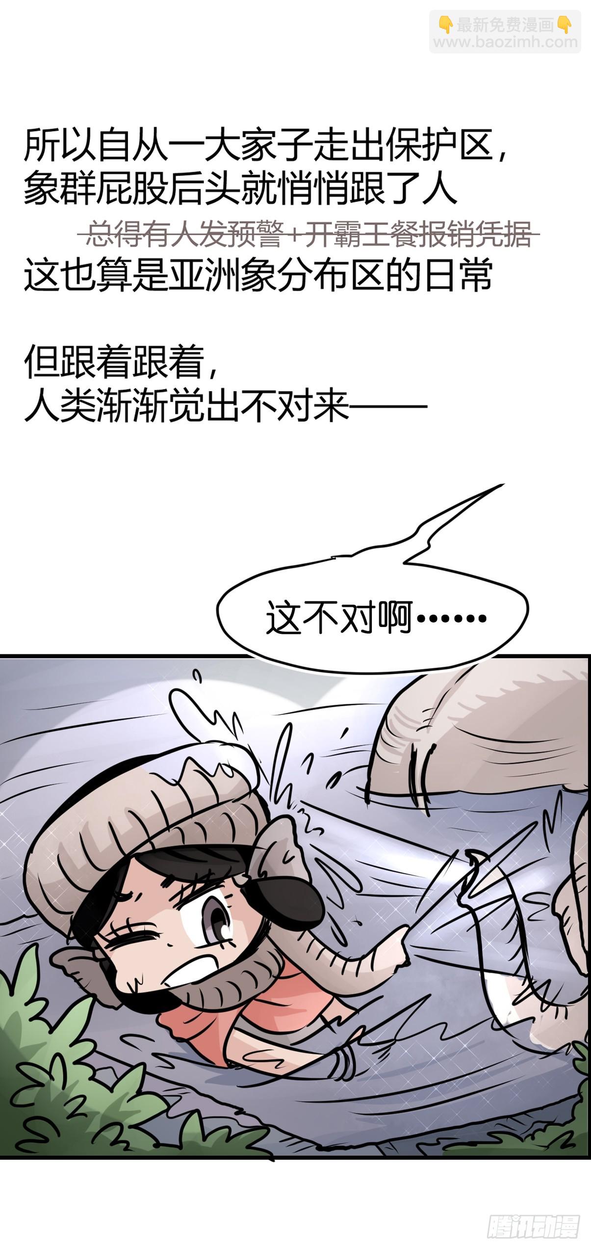 十日谈30：象往何方④-第322话