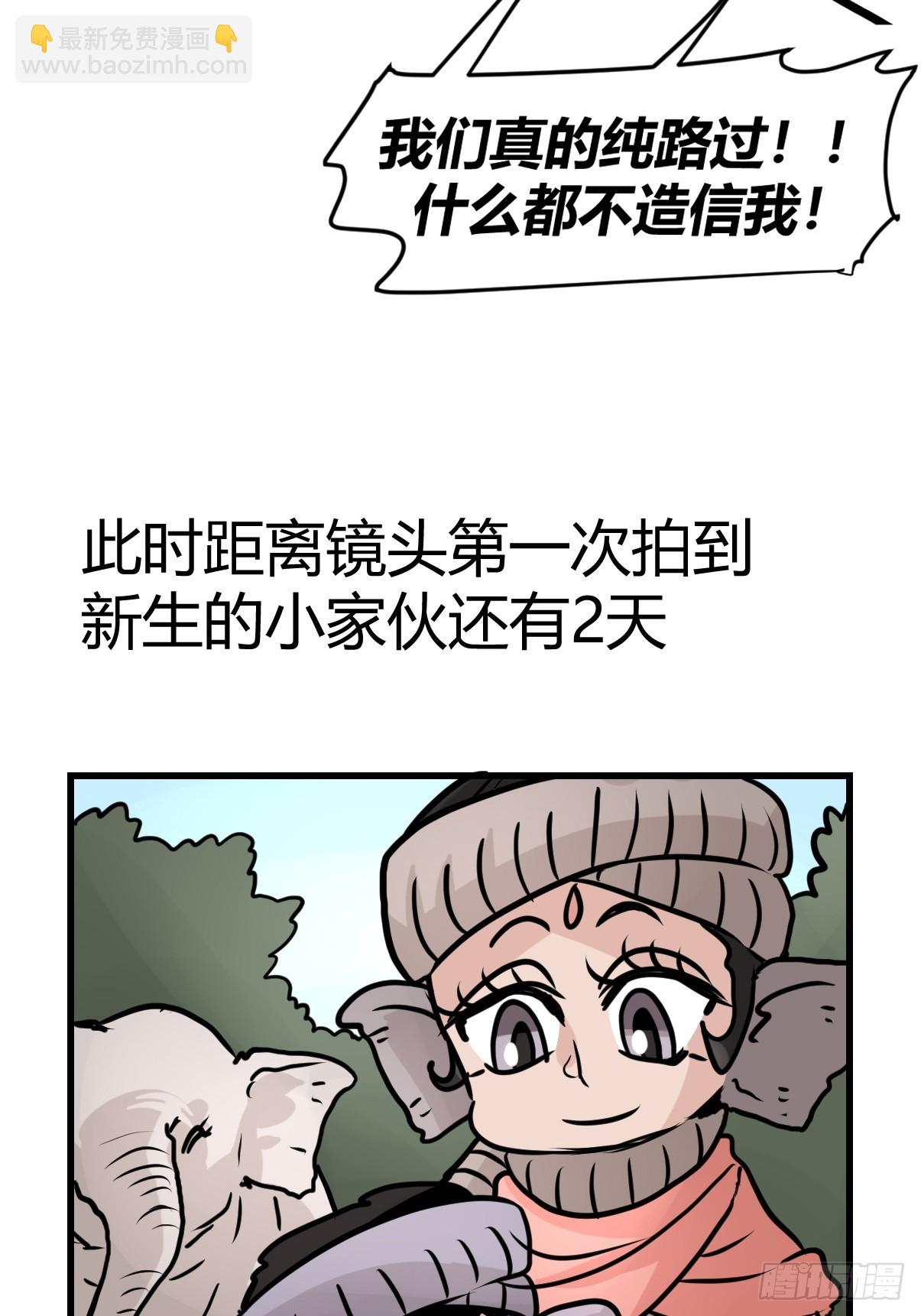 十日谈30：象往何方④-第322话
