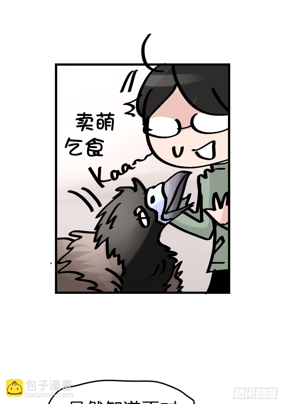 十日谈38：骗吃骗喝的你③(1/2)-第330话