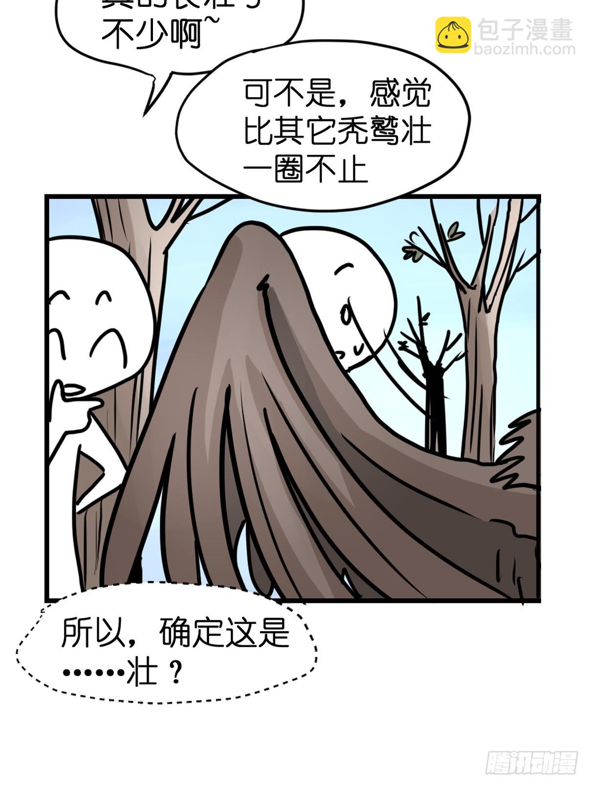 十日谈38：骗吃骗喝的你③(1/2)-第330话