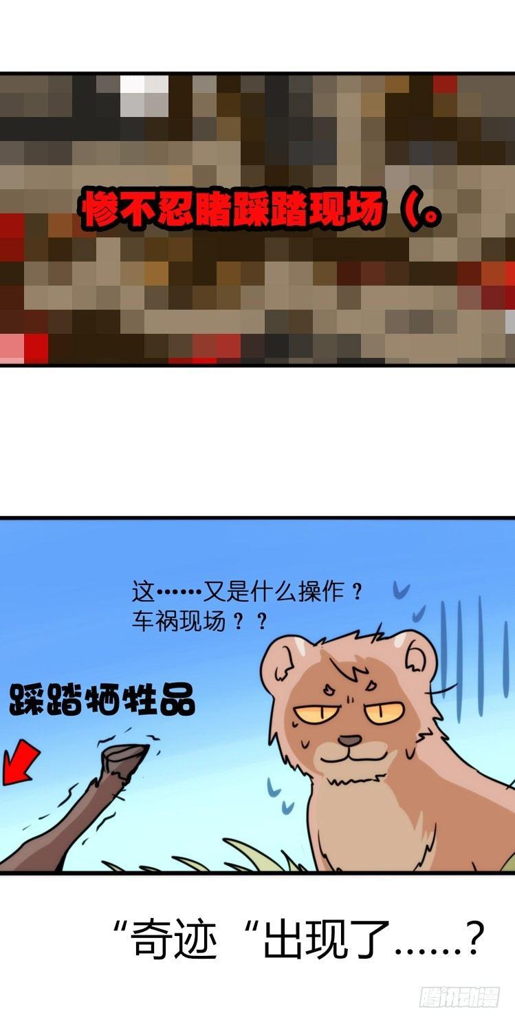 是这样的狮JI王？！-09-第34话
