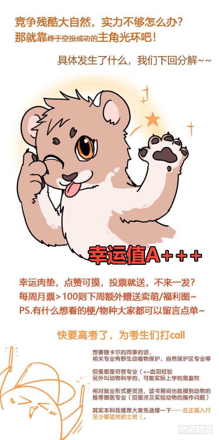 是这样的狮JI王？！-09-第34话