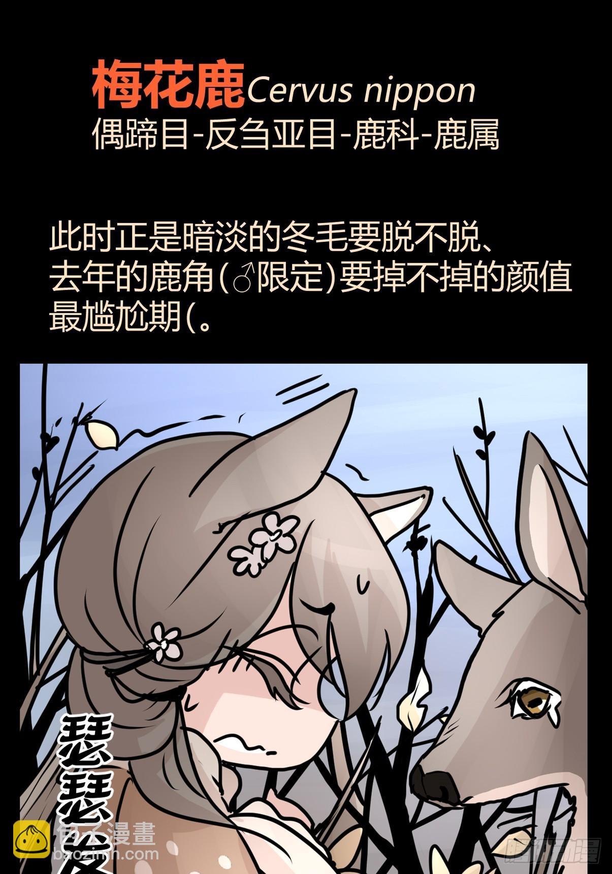 十日谈40：骗吃骗喝的你⑤(1/2)-第332话