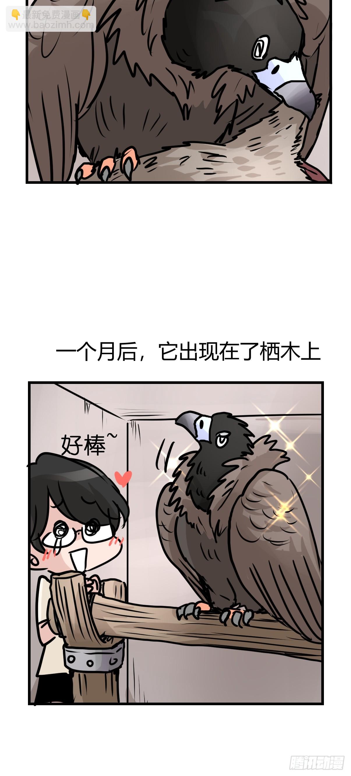 十日谈42：骗吃骗喝的你⑦(1/2)-第334话
