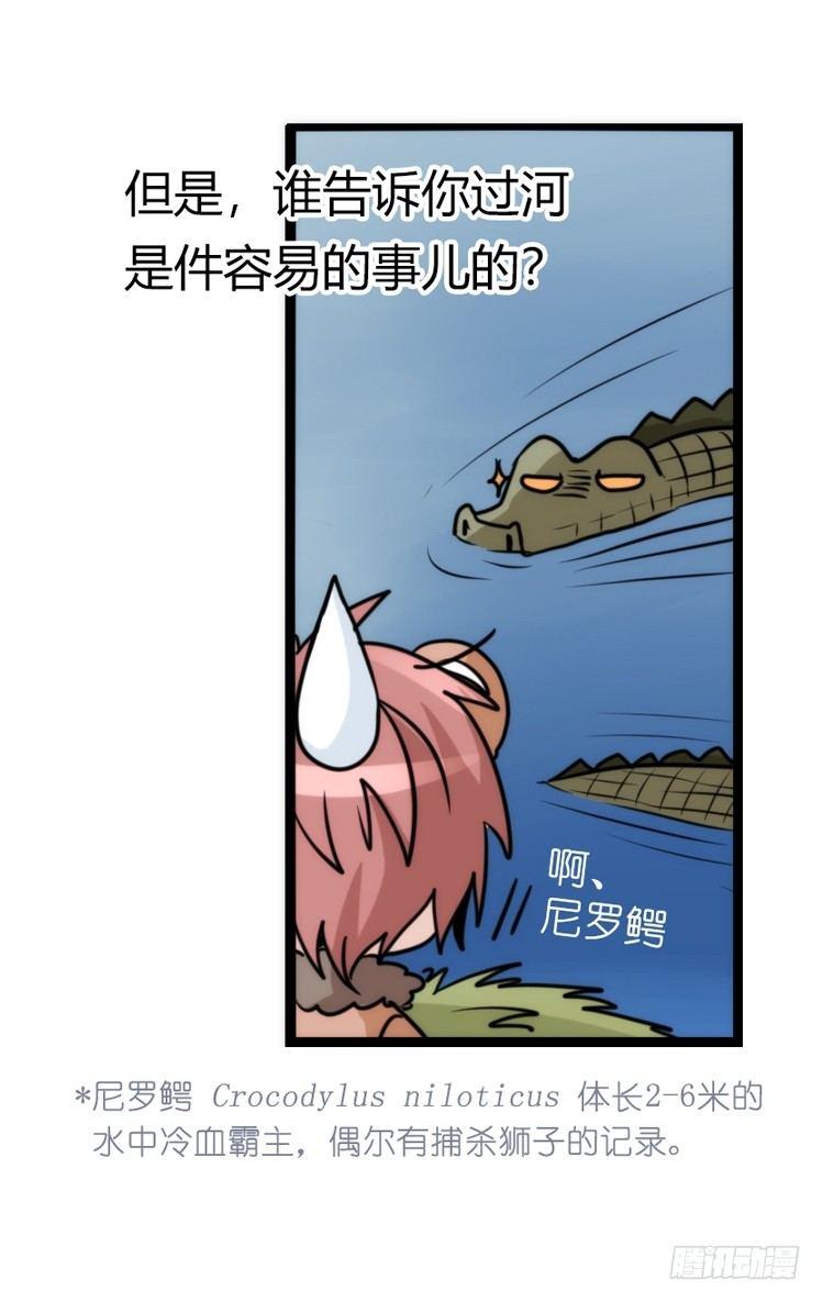 是这样的狮JI王？！-11-第36话