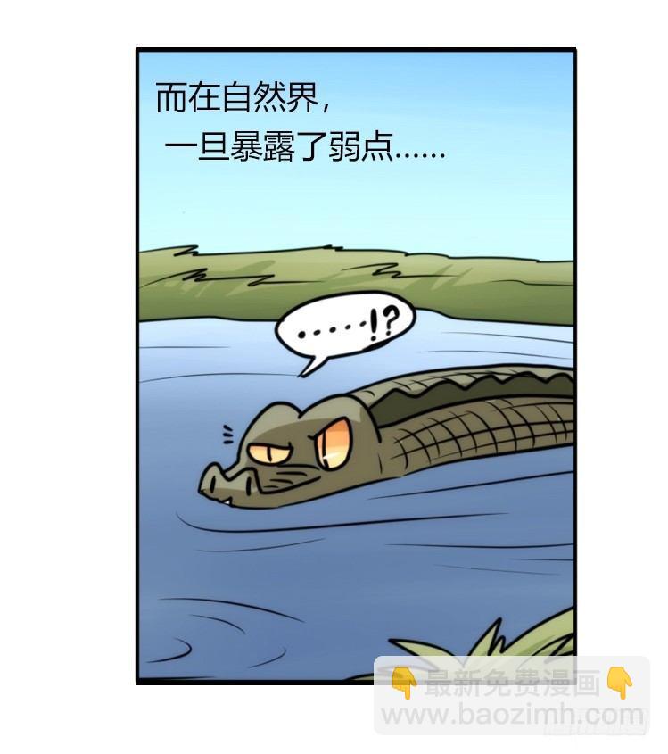 是这样的狮JI王？！-11-第36话