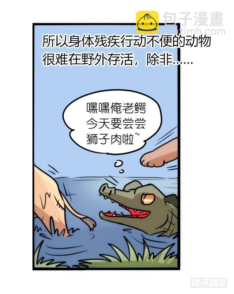 是这样的狮JI王？！-11-第36话