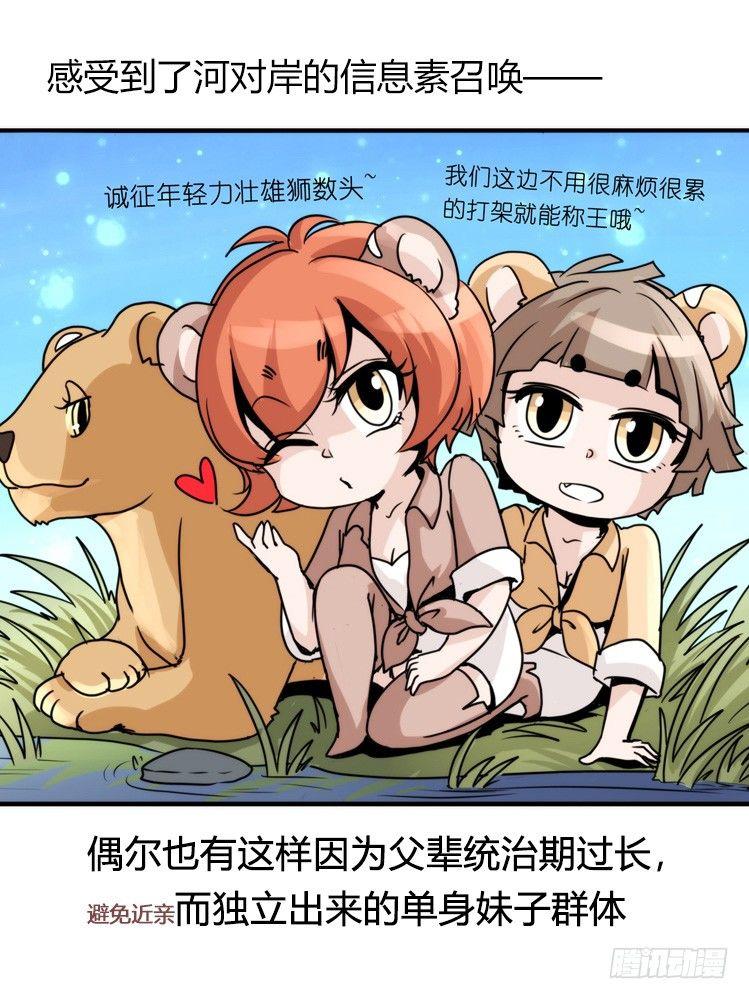 是这样的狮JI王？！-11-第36话