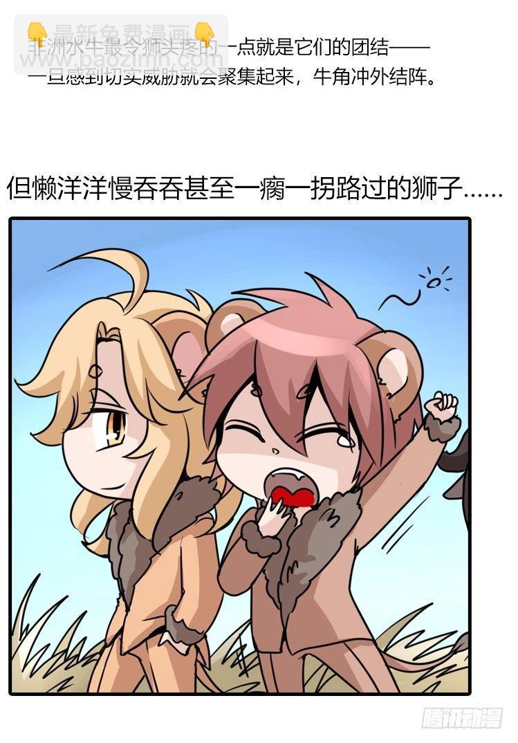是这样的狮JI王？！-13-第38话