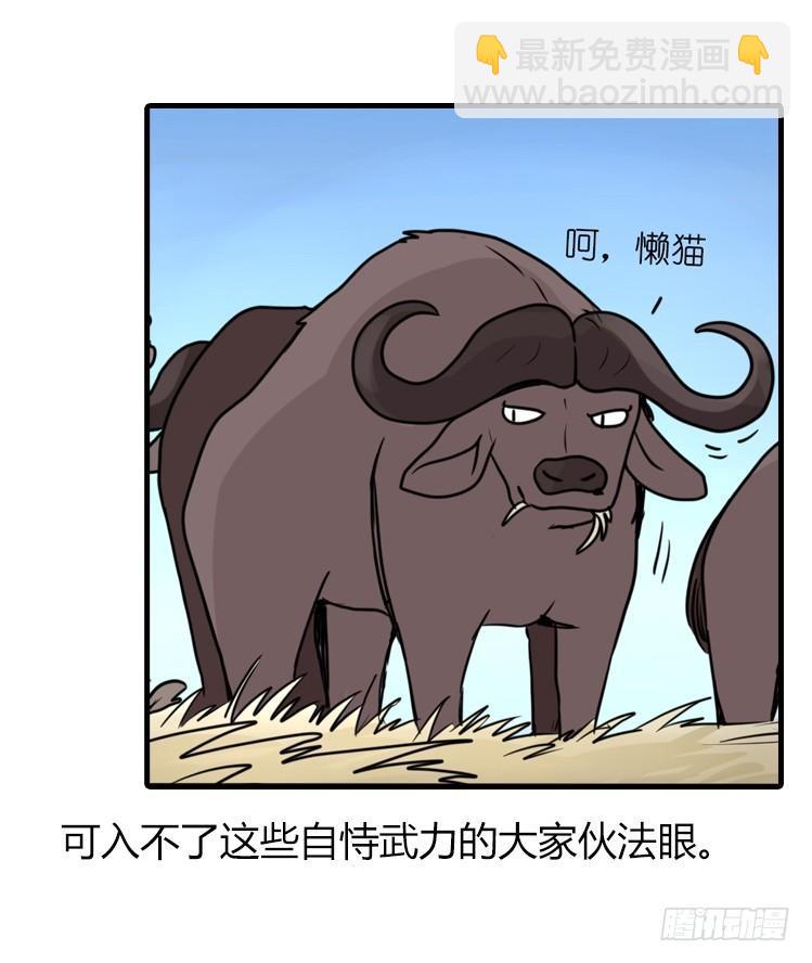 是这样的狮JI王？！-13-第38话
