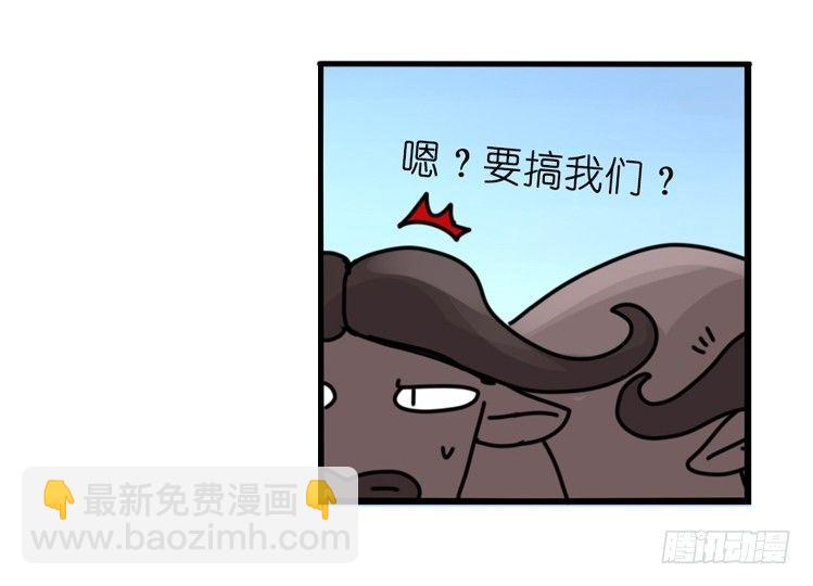 是这样的狮JI王？！-13-第38话