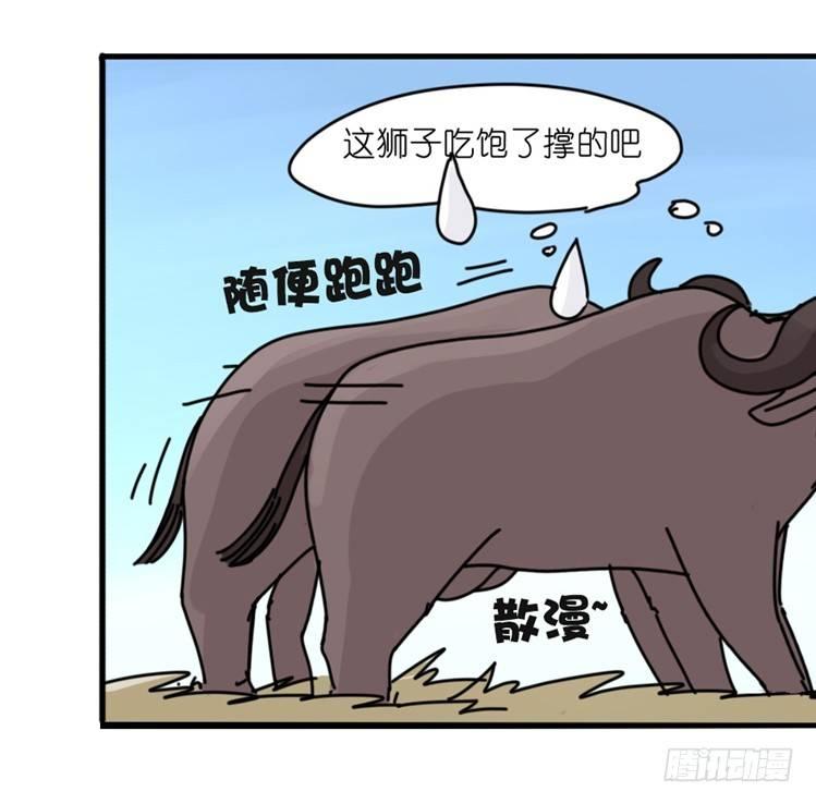 是这样的狮JI王？！-13-第38话