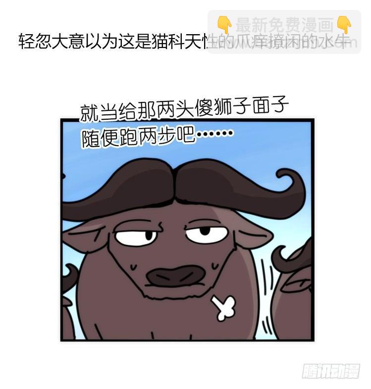 是这样的狮JI王？！-13-第38话