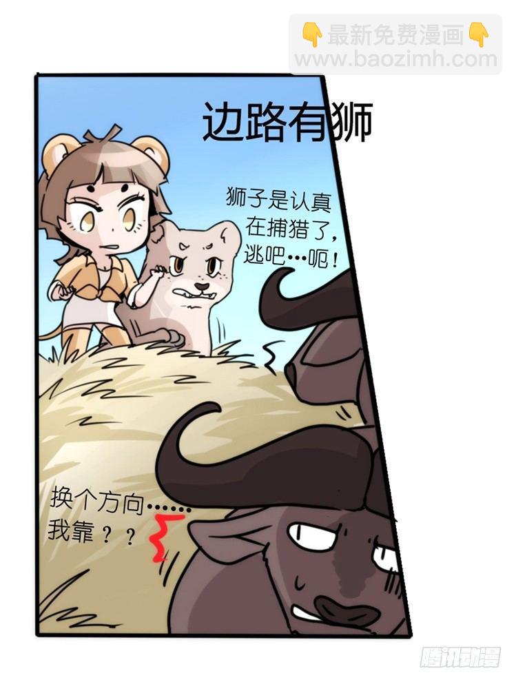 是这样的狮JI王？！-13-第38话