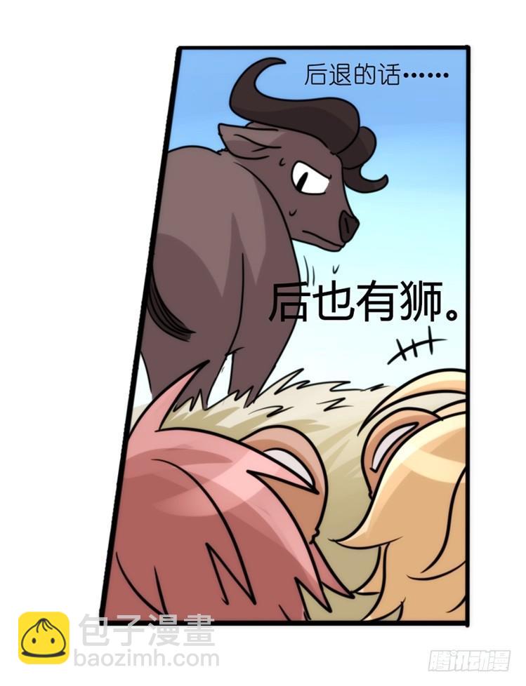 是这样的狮JI王？！-13-第38话