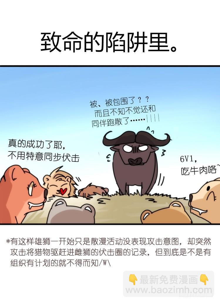 是这样的狮JI王？！-13-第38话