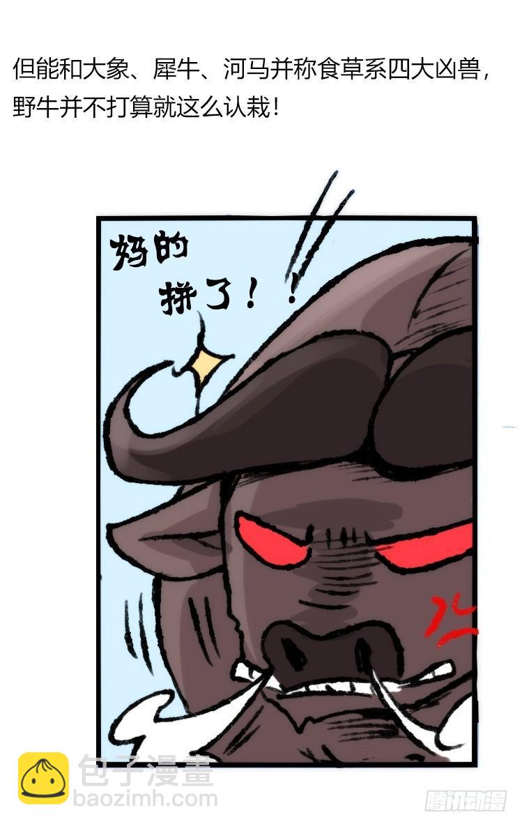 是这样的狮JI王？！-13-第38话