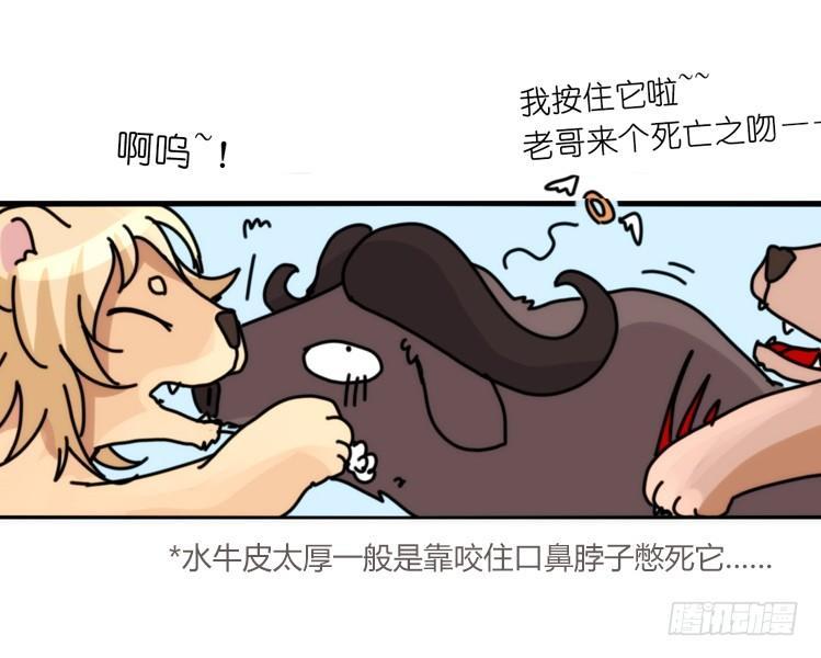是这样的狮JI王？！-13-第38话