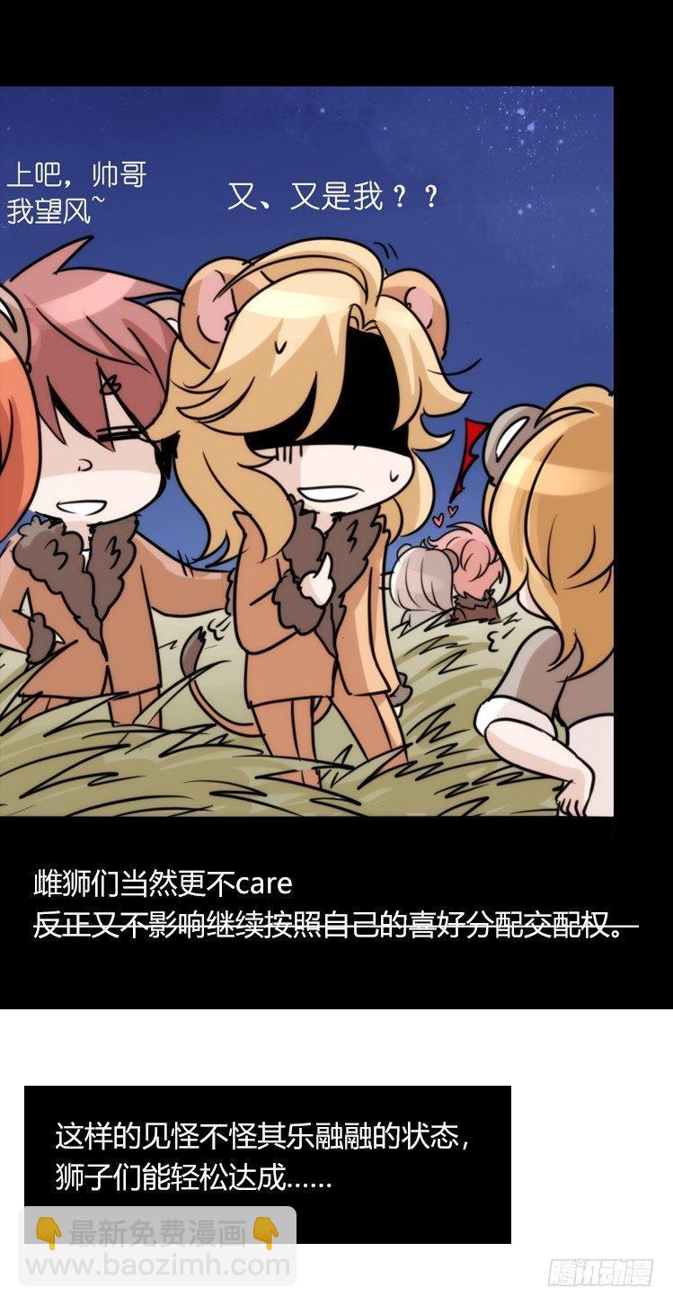 是这样的狮JI王？！-15-第40话