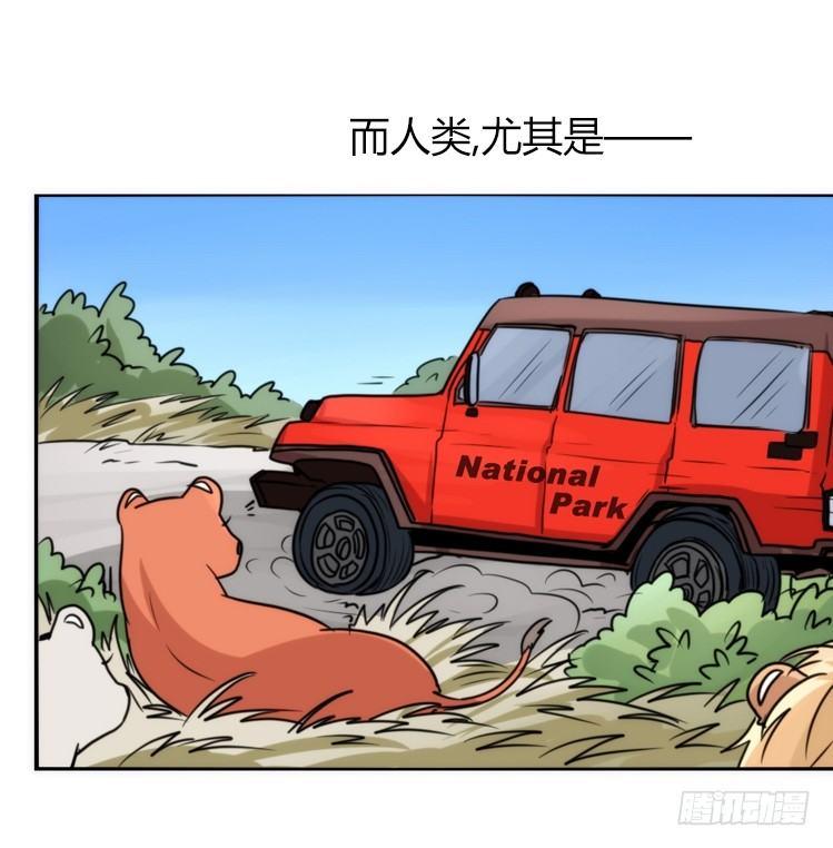 是这样的狮JI王？！-15-第40话
