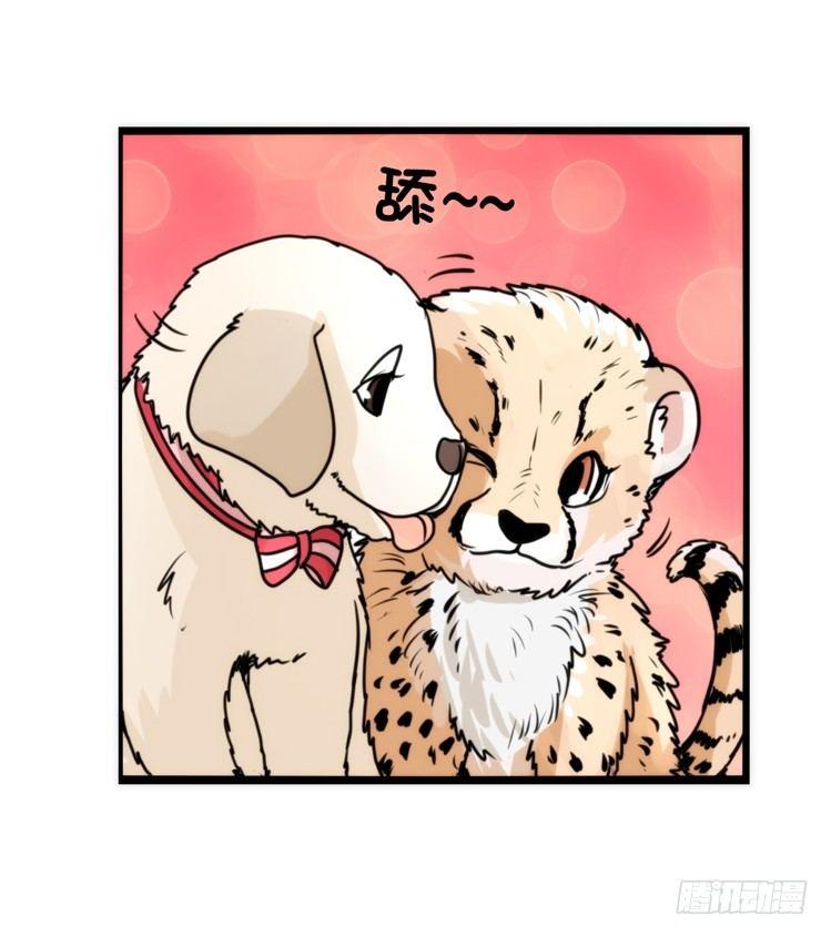 是这样的狮JI王？！-21-第46话