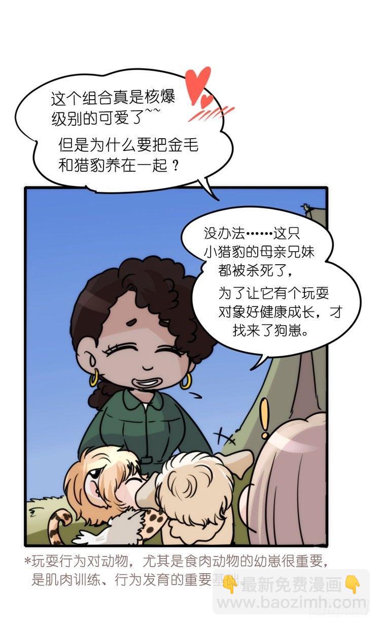 是这样的狮JI王？！-21-第46话