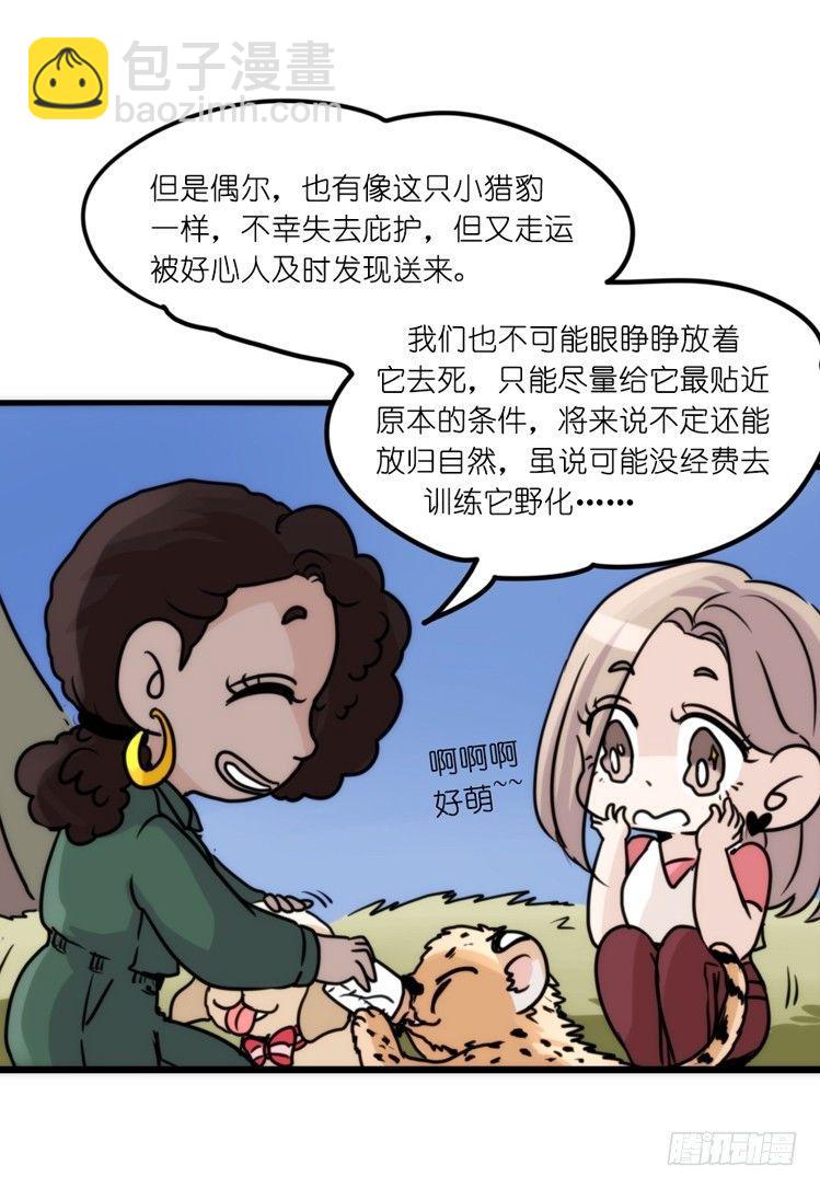 是这样的狮JI王？！-21-第46话
