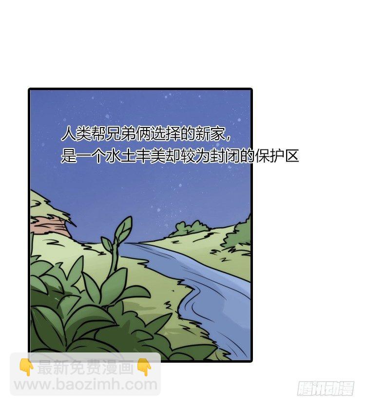 是这样的狮JI王？！-21-第46话