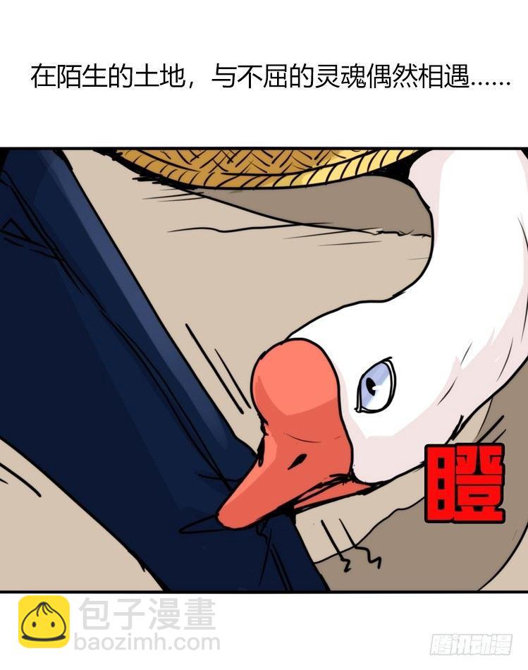 家有鹅霸：命运的邂逅-第50话